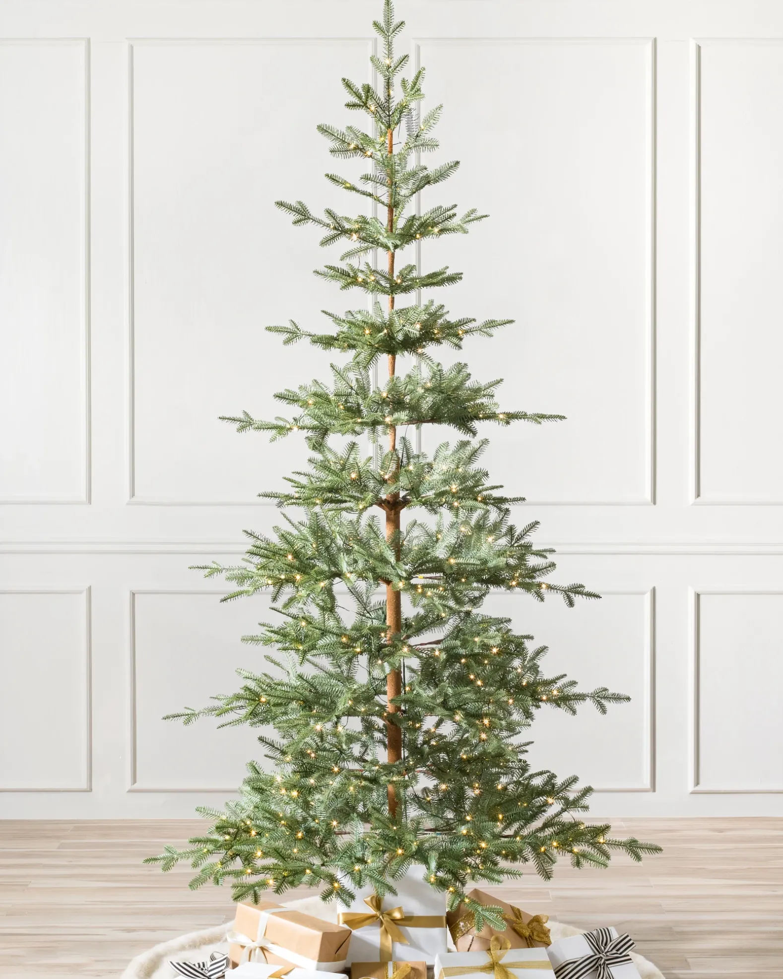 Alpine Balsam Fir Trees