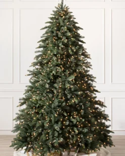 Aspen Estate Fir® ReNEW™