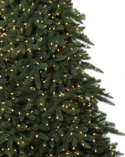 Aspen Estate Fir® ReNEW™