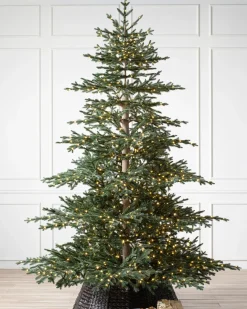Aspen Silver Fir® ReNEW™