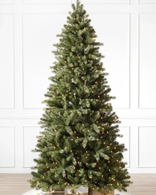 Bellevue Spruce Trees