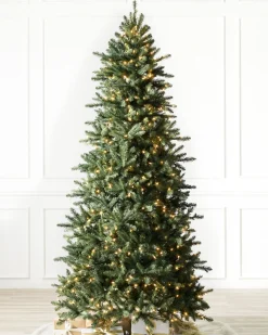Berkshire Mountain Fir Trees