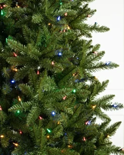 Berkshire Mountain Fir Trees