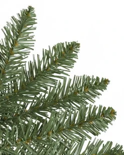 Berkshire Mountain Fir Trees