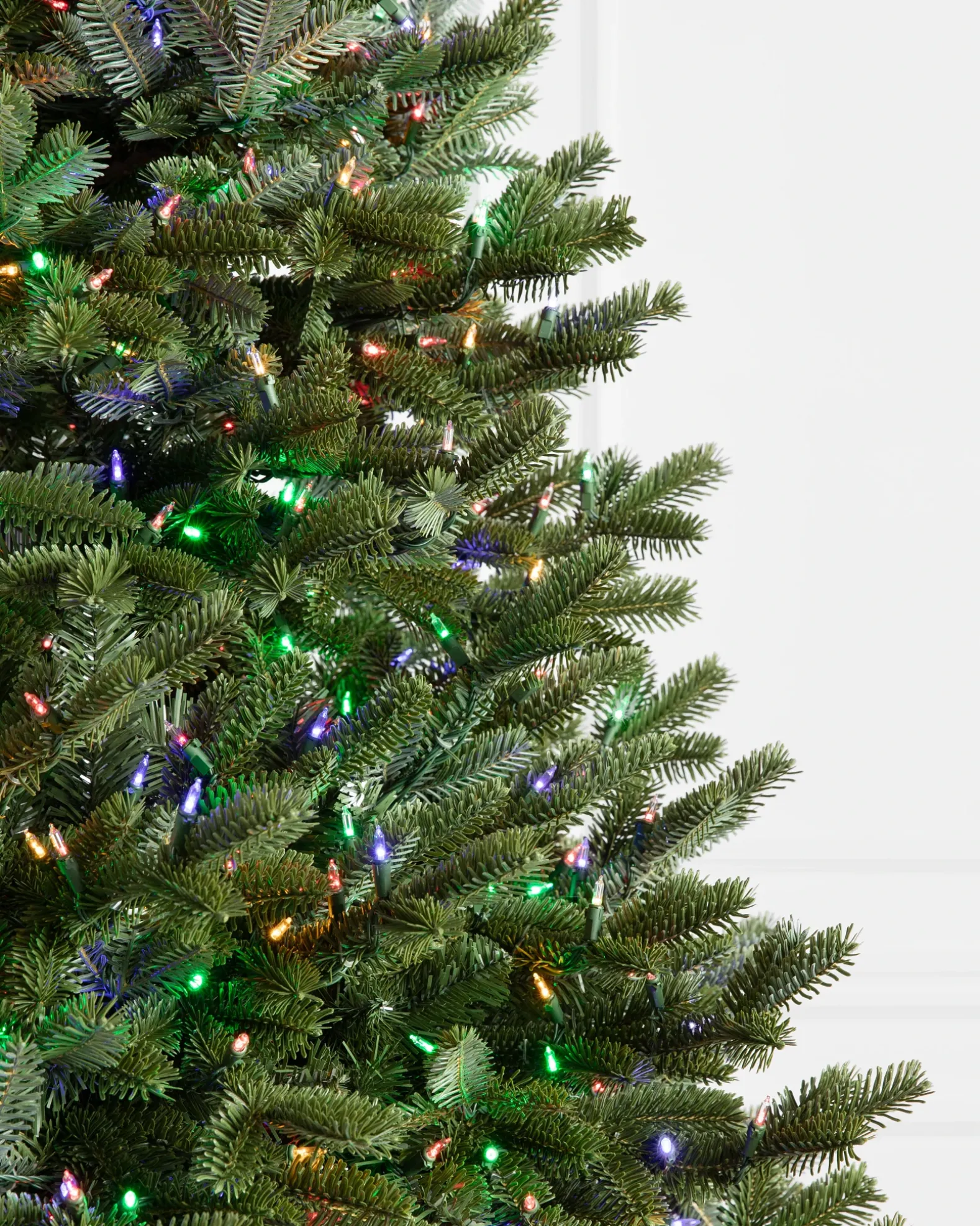 BH Fraser Fir Trees