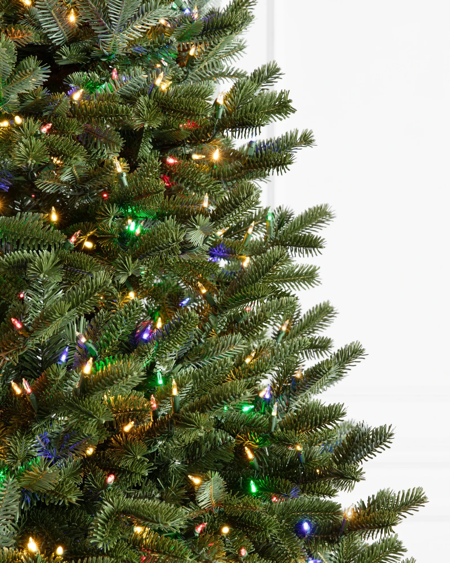BH Fraser Fir Trees