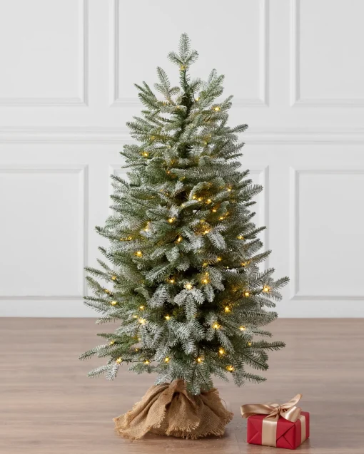 BH Frosted Balsam Fir® Tabletop Trees