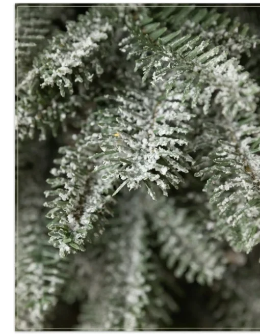 BH Frosted Balsam Fir® Tabletop Trees
