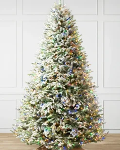 BH Frosted Balsam Fir Trees