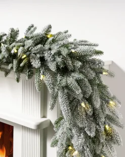 BH Frosted Fraser Fir® Foliage