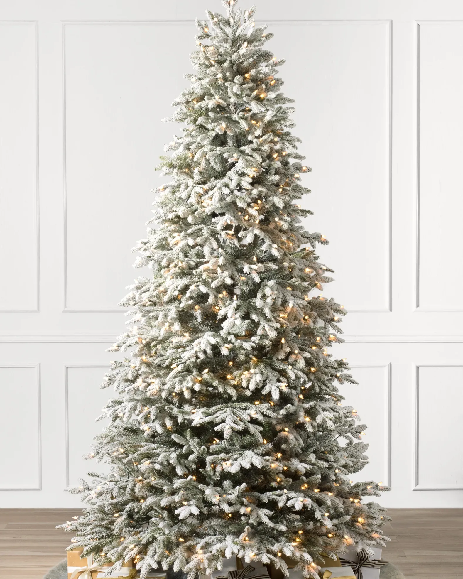 BH Frosted Fraser Fir® Trees