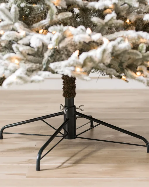 BH Frosted Fraser Fir® Trees
