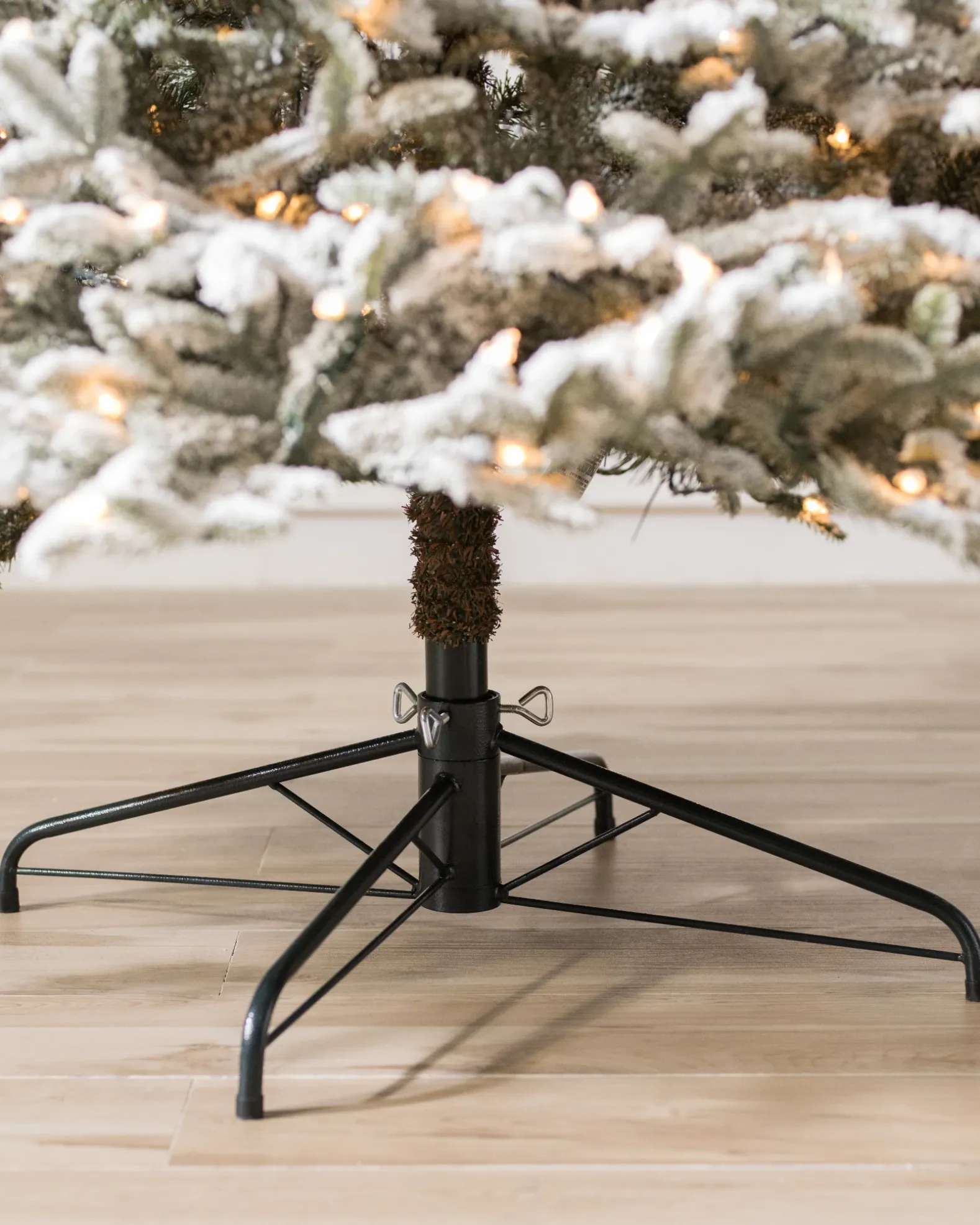 BH Frosted Fraser Fir® Trees