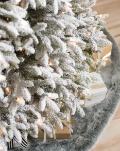 BH Frosted Fraser Fir® Trees
