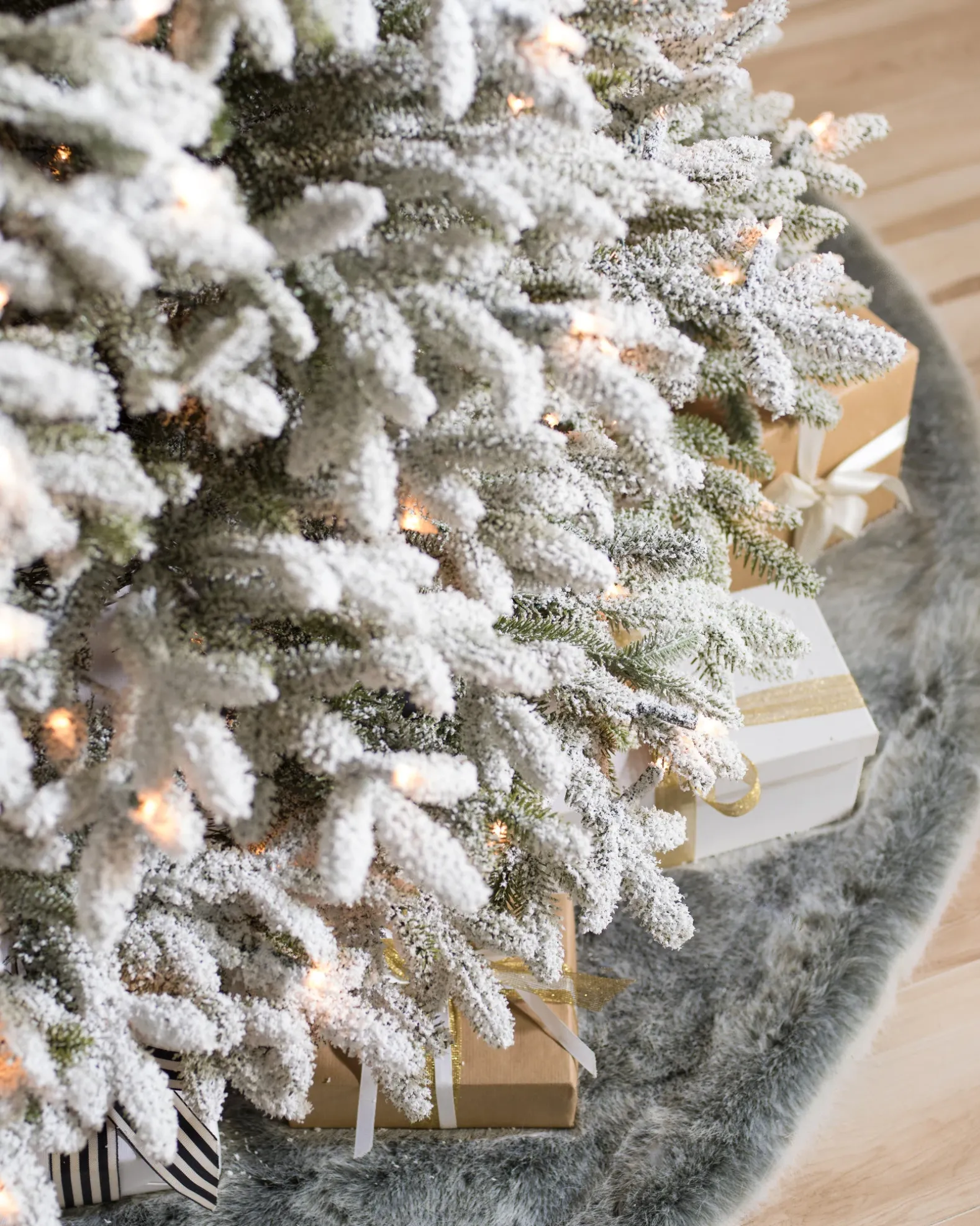 BH Frosted Fraser Fir® Trees