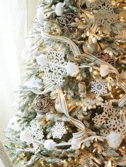 BH Frosted Fraser Fir® Trees
