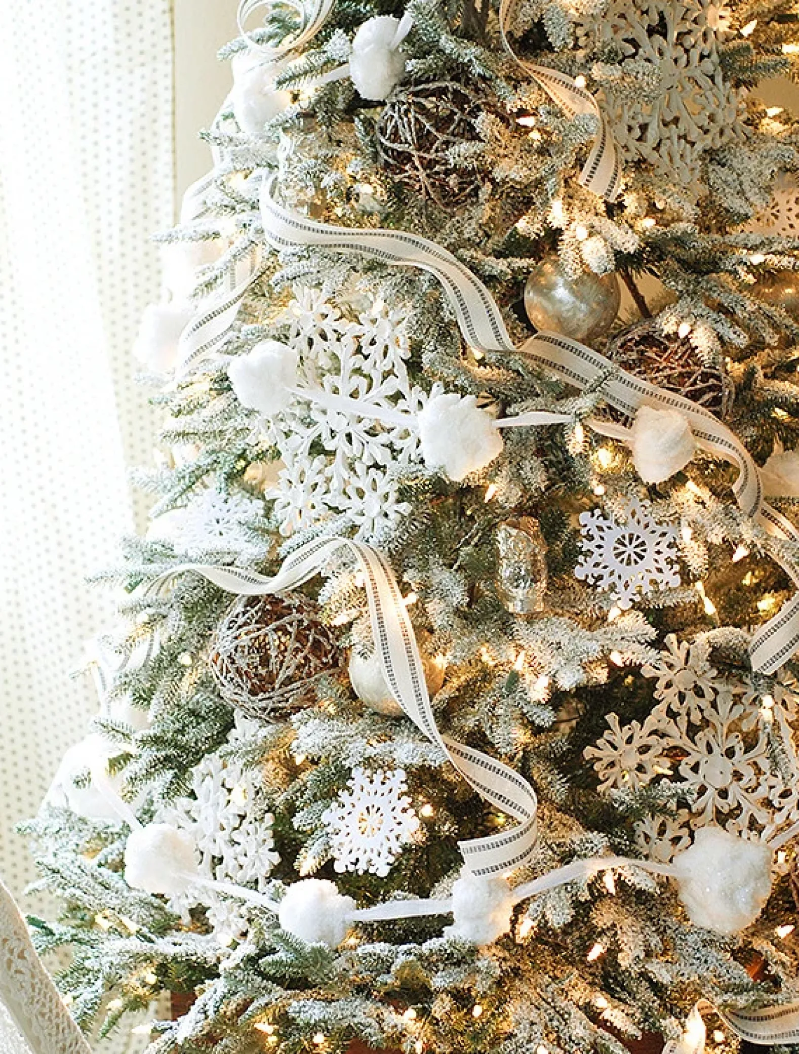 BH Frosted Fraser Fir® Trees