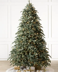 BH Noble Fir® ReNEW™