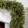 BH Norway Spruce Foliage