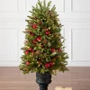 BH Norway Spruce Holiday Foliage