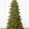 BH Norway Spruce Trees