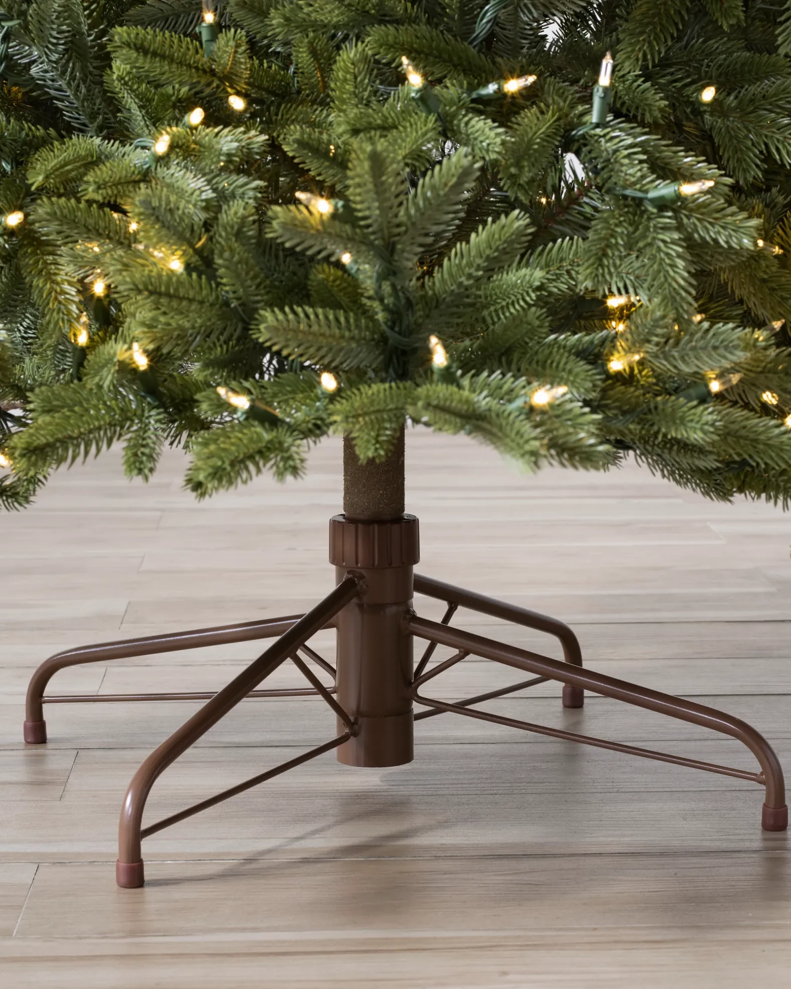 BH Norway Spruce Trees