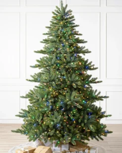 Biltmore® Spruce Trees