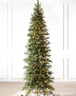 Cathedral Fir Trees
