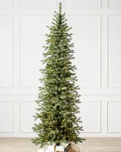 Cathedral Fir Trees