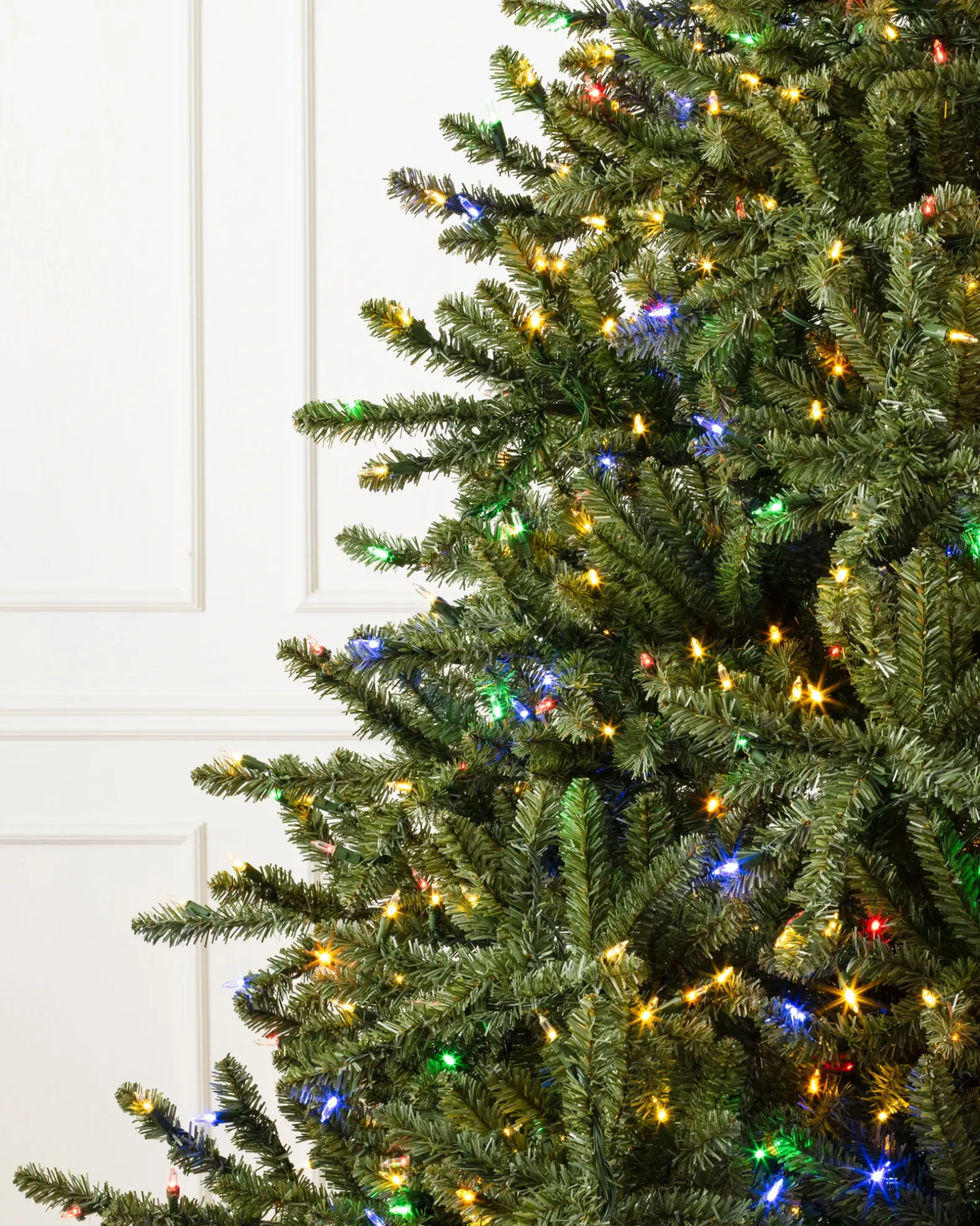Classic Blue Spruce Trees