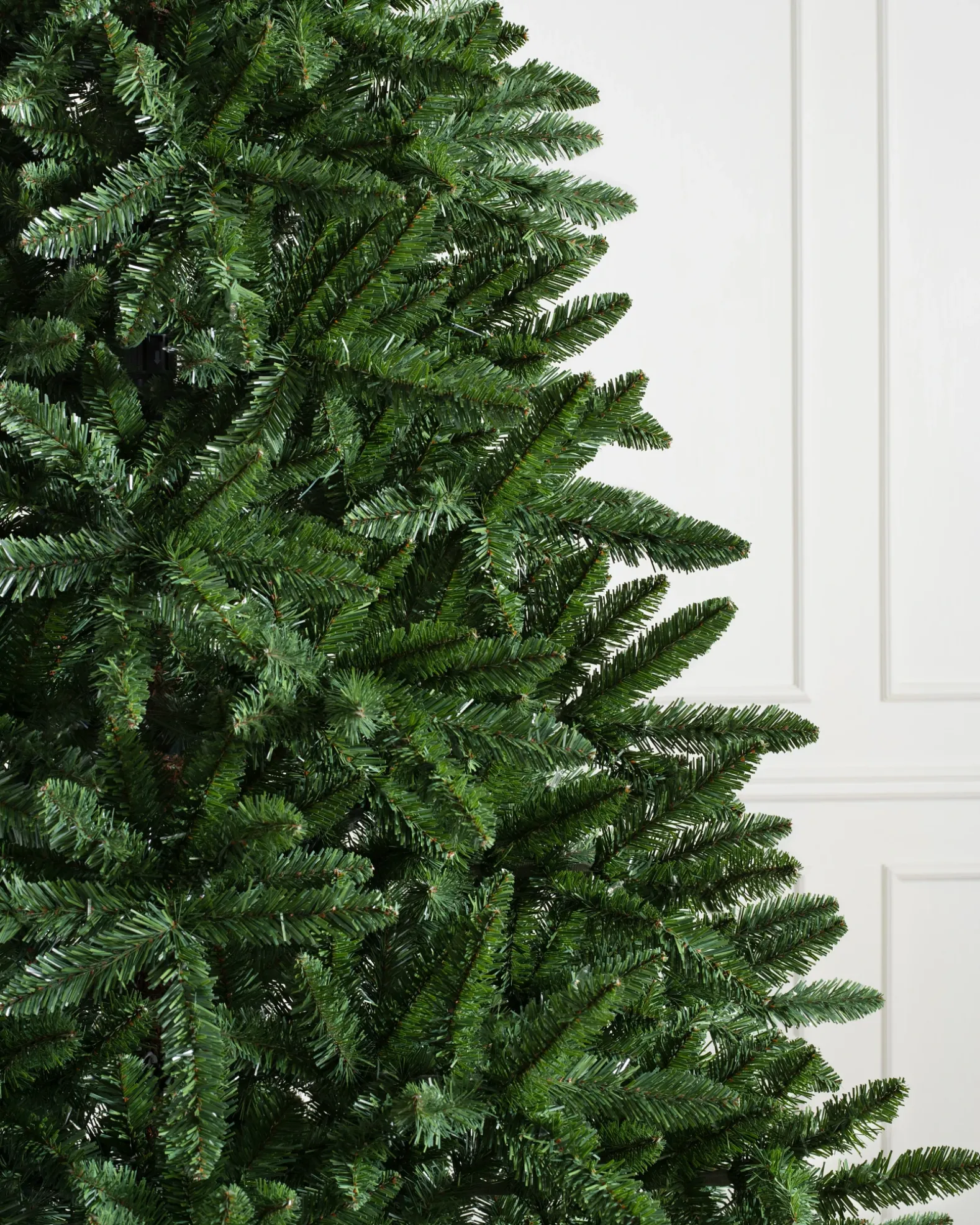 Classic Evergreen Spruce Trees