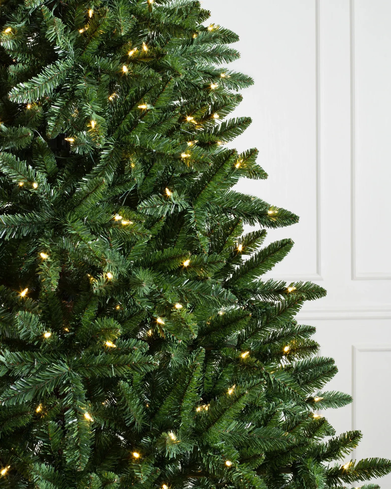 Classic Evergreen Spruce Trees