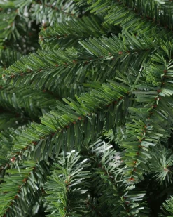 Classic Evergreen Spruce Trees