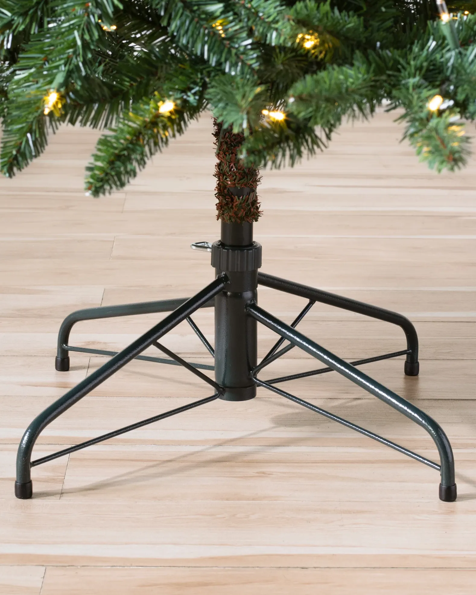 Classic Evergreen Spruce Trees