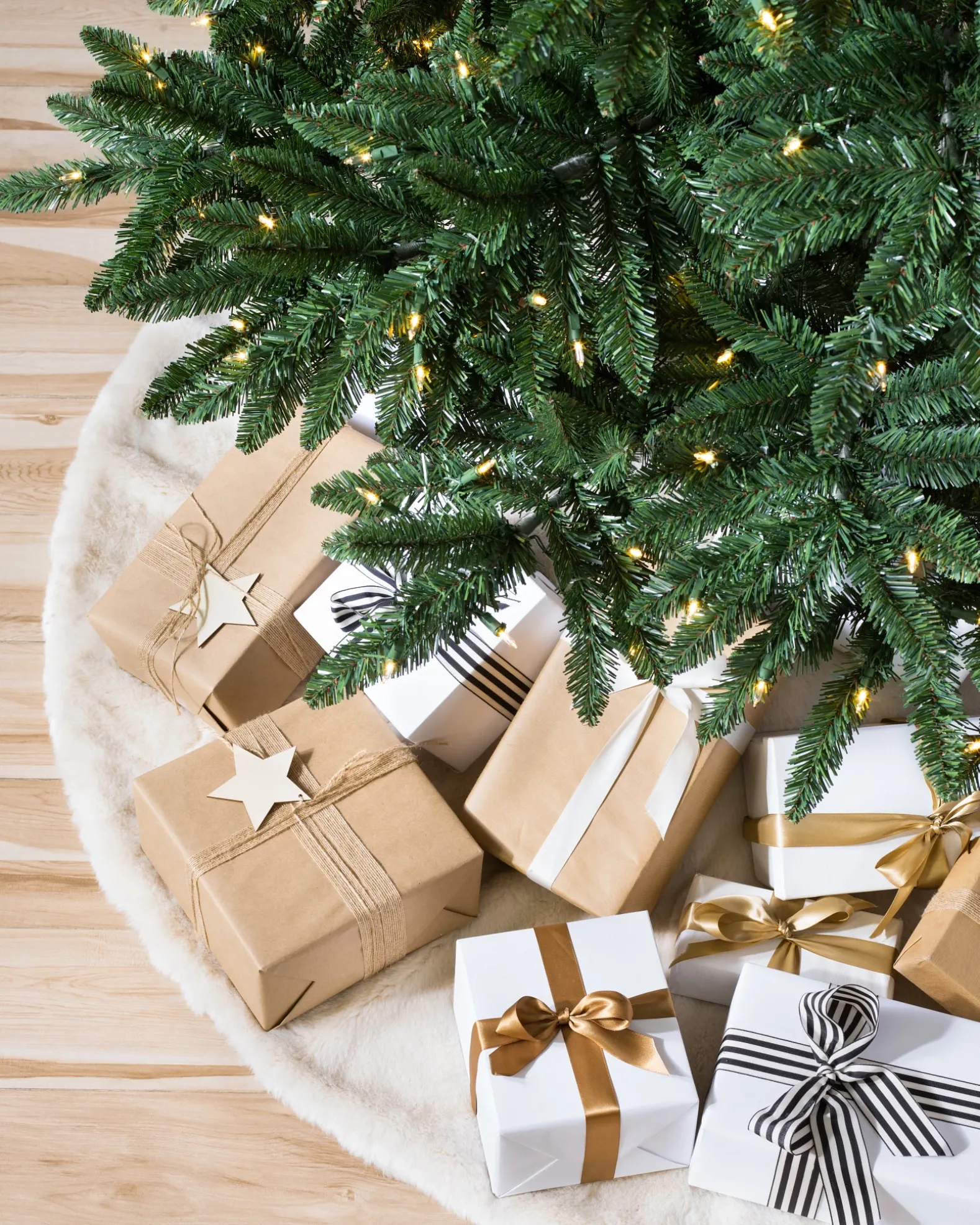 Classic Evergreen Spruce Trees