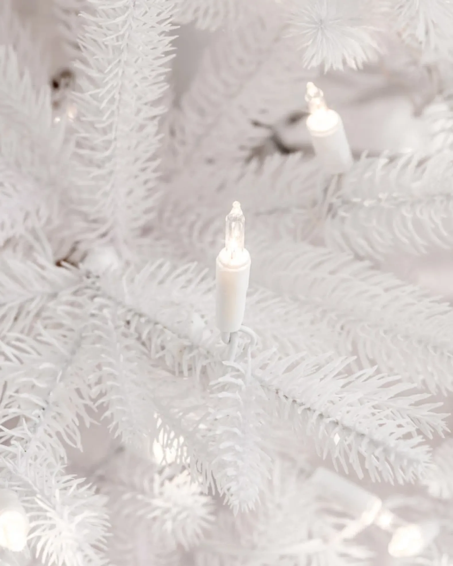 Denali White® Trees
