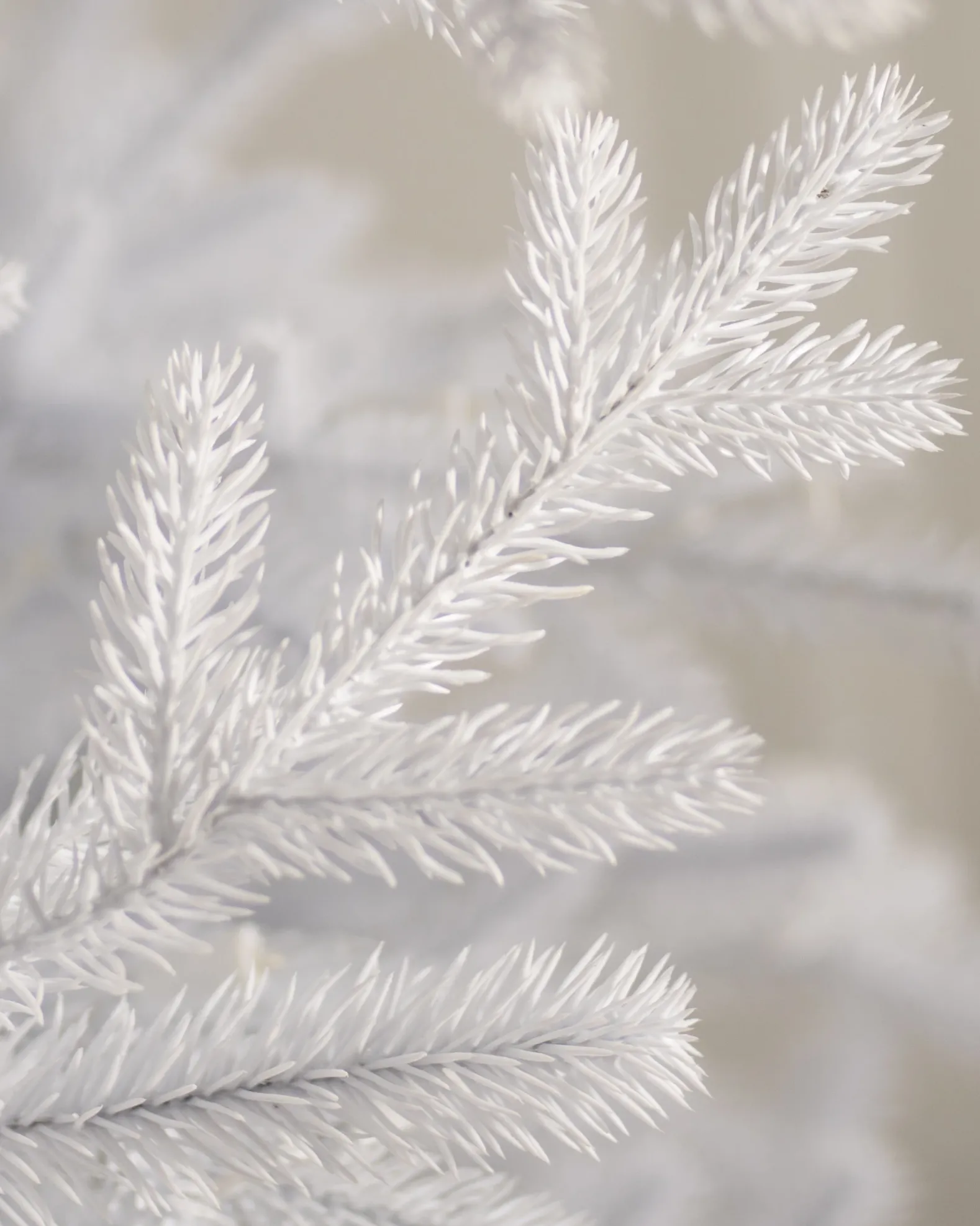 Denali White® Trees