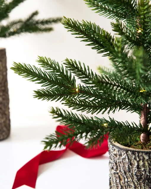 Evergreen Saplings Tabletop Trees