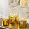 Fairy Light Hurricanes
