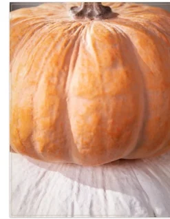Fairytale Pumpkins