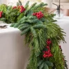 Fresh Cedar Forest Foliage