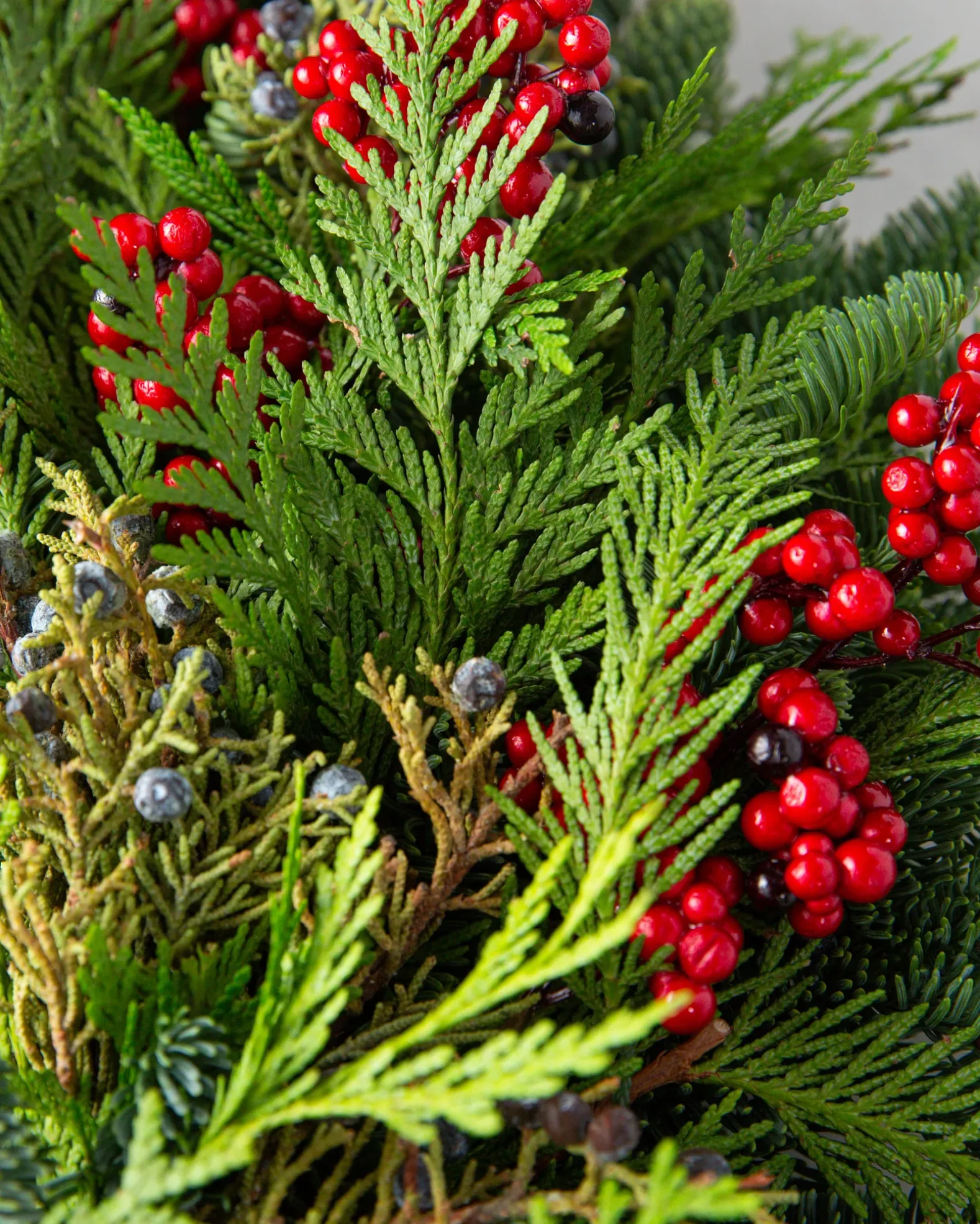 Fresh Cedar Forest Foliage