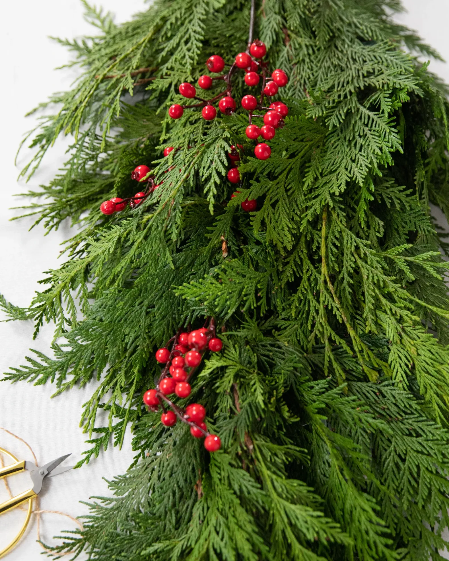 Fresh Cedar Grove Foliage