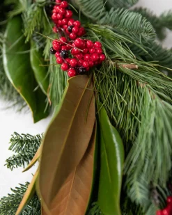 Fresh Southern Magnolia Evergreen Foliage