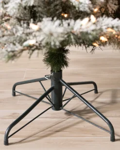 Frosted Sugar Pine Trees