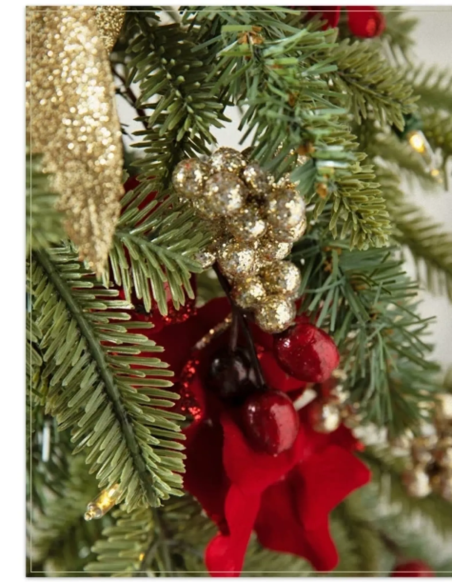 Holiday Traditions BH Fraser Fir® Foliage