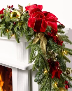 Holiday Traditions BH Fraser Fir® Foliage