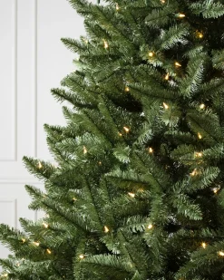 Idaho Fir