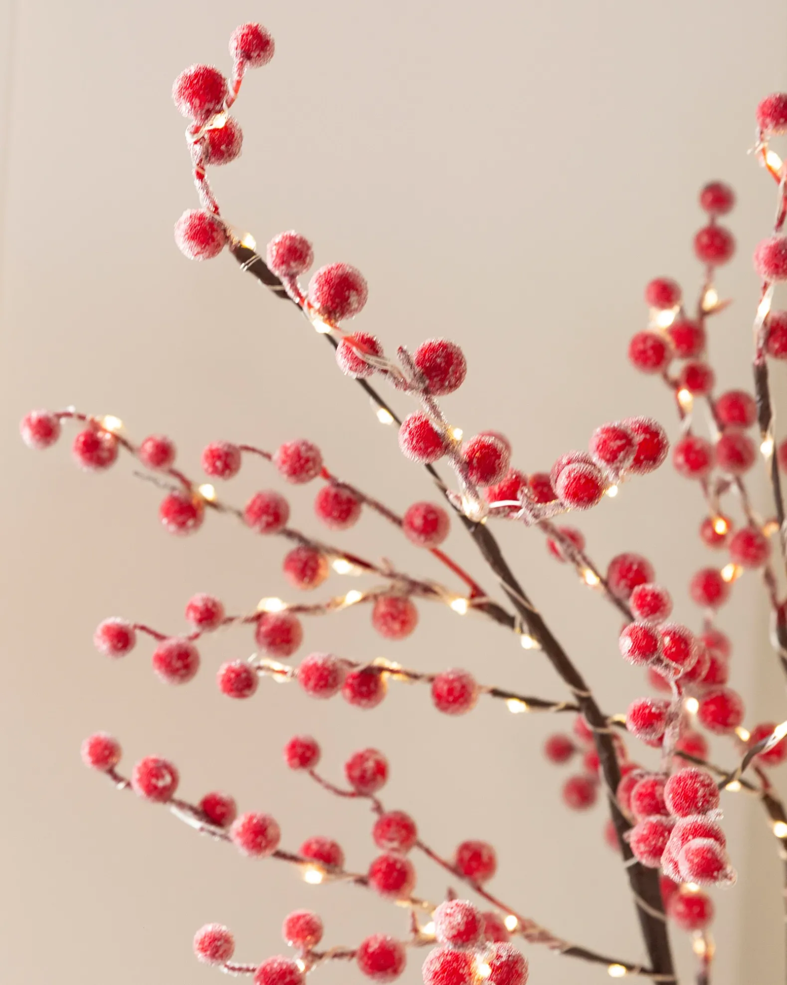 Lit Twig Branches