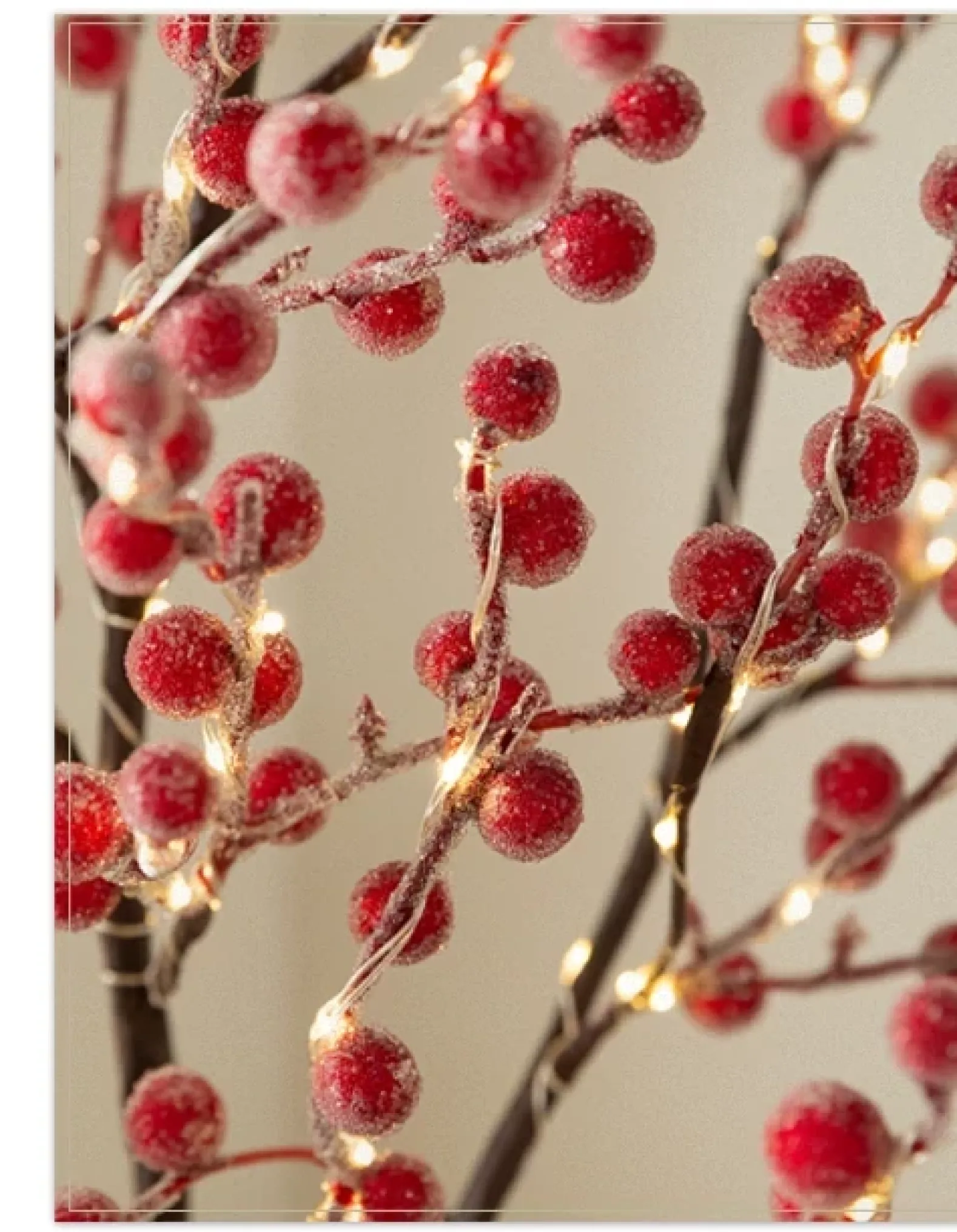 Lit Twig Branches
